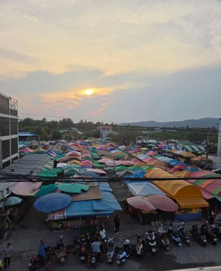 최동수님의 자유주제 · 자유게시판 작성글 사진