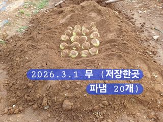 박성민님의 자유주제 · 자유게시판 작성글 사진