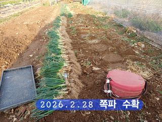 박성민님의 자유주제 · 자유게시판 작성글 사진