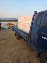 대산농사대장님의 양파·자유게시판 작성글 사진