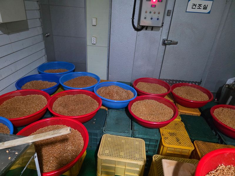 서외성님의 장터 판매 상품 [장담는 메주 한말 16키로[완판]] 첨부 사진