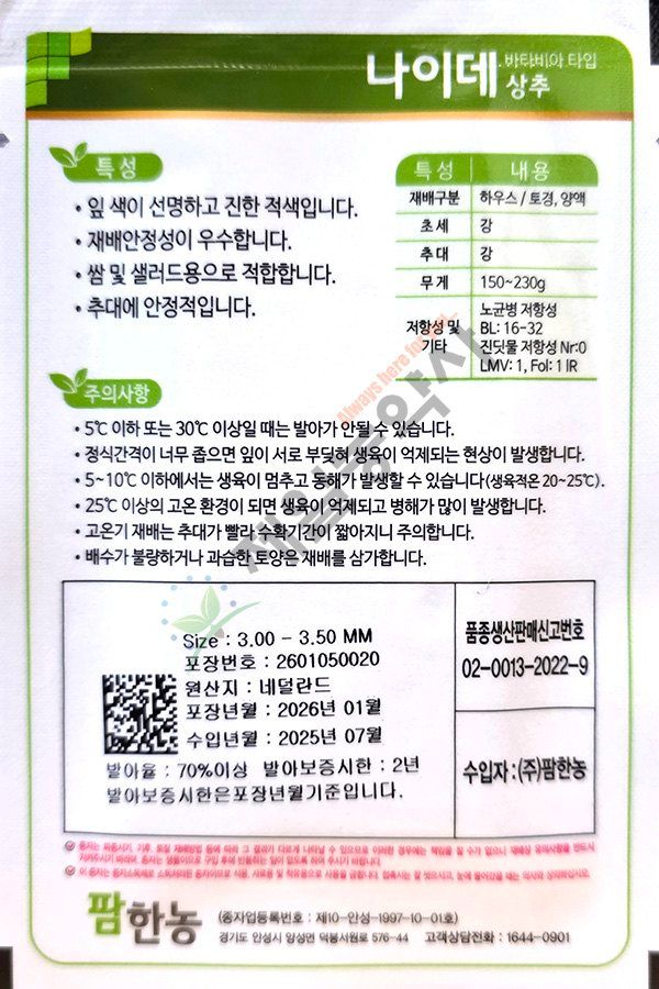 안산제일농약사님의 장터 판매 상품 [유럽상추씨앗 모음 피델 바사리 핀스타 26년] 첨부 사진