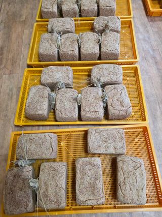 서외성님의 작성글 사진