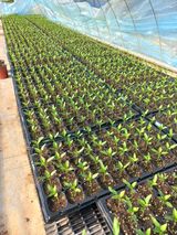 박웅님의 자유주제·자유게시판 작성글 사진