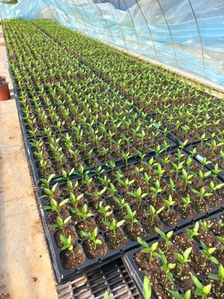 박린님의 자유주제 · 자유게시판 작성글 사진