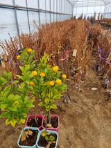 팜모닝 자유주제·자유게시판 게시글 이미지