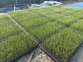 박린님의 자유주제 · 자유게시판 작성글 사진