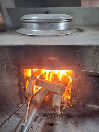 MSG0074님의 자유주제 · 자유게시판 작성글 사진