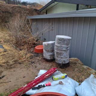 오영도님의 자유주제 · 자유게시판 작성글 사진