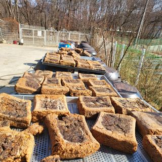 김경순님의 자유주제 · 자유게시판 작성글 사진