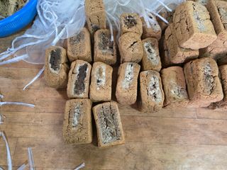 서외성님의 작성글 사진