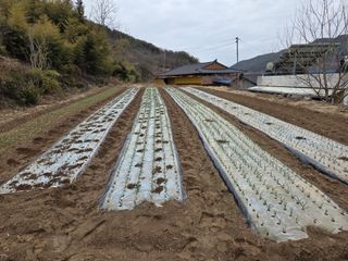 공명호님의 자유주제 · 자유게시판 작성글 사진