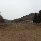 팜모닝 자유주제·자유게시판 게시글 이미지