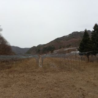 황덕순 님의 자유주제 · 자유게시판 작성글 사진