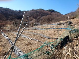 몽자아빠님의 작성글 사진