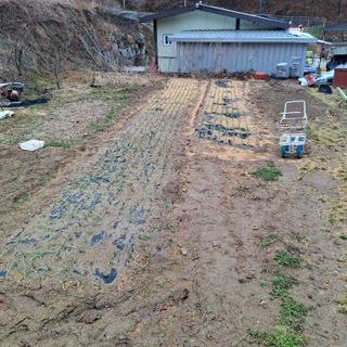 오영도님의 자유주제 · 자유게시판 작성글 사진