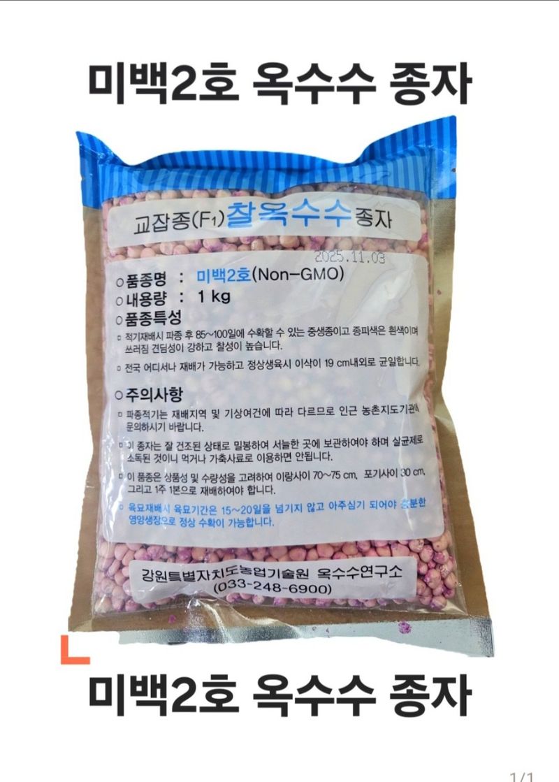 한농농약종묘사님의 장터 판매 상품 [[미백2호] 찰옥수수 종자 씨앗 1kg] 첨부 사진
