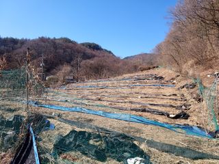 몽자아빠님의 작성글 사진