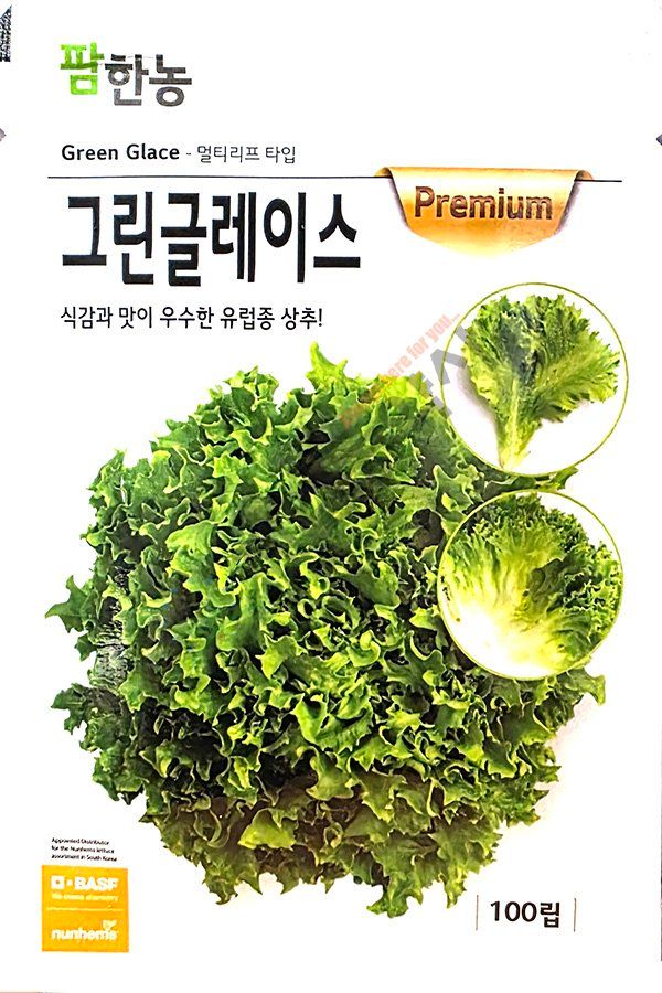 안산제일농약사님의 장터 판매 상품 [유럽상추씨앗 모음 피델 바사리 핀스타 26년] 첨부 사진