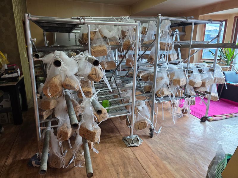 장터 상품 [장담는 메주 한말 16키로[완판]] 썸네일