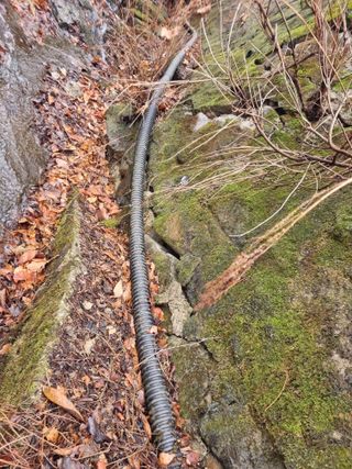 김용대님의 자유주제 · 자유게시판 작성글 사진