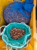 팜모닝 자유주제·자유게시판 게시글 이미지