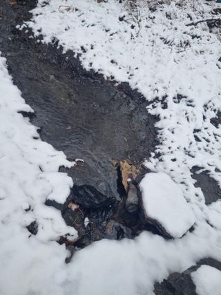 김용대님의 자유주제 · 자유게시판 작성글 사진