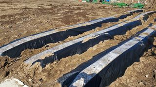 정금기님의 자유주제 · 자유게시판 작성글 사진