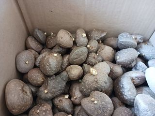 꿈꾸는텃밭님의 작성글 사진