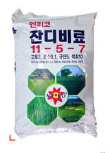 팜모닝 · 게시글 이미지