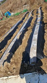 정금기님의 자유주제·자유게시판 작성글 사진