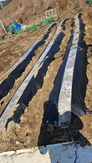 정금기님의 자유주제 · 자유게시판 작성글 사진