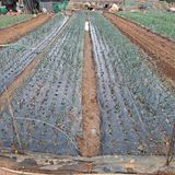 팜모닝 자유주제·자유게시판 게시글 이미지