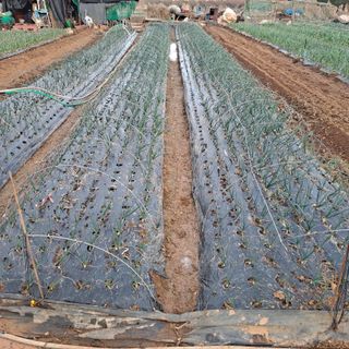 나누고싶어서님의 자유주제 · 자유게시판 작성글 사진