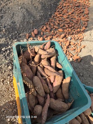 이동훈님의 자유주제 · 자유게시판 작성글 사진