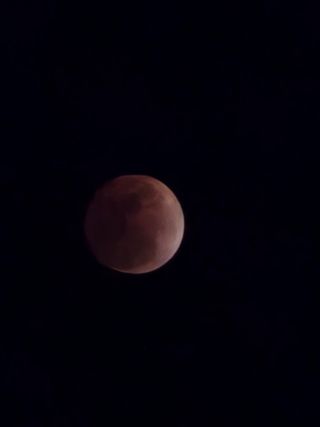 버벗님의 자유주제 · 자유게시판 작성글 사진