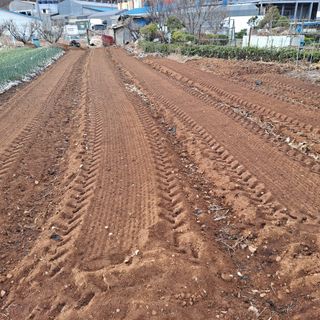 나누고싶어서님의 자유주제 · 자유게시판 작성글 사진