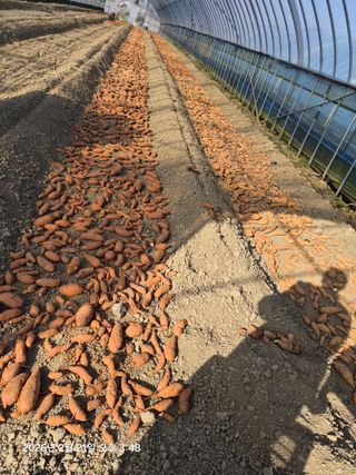 이동훈님의 자유주제 · 자유게시판 작성글 사진