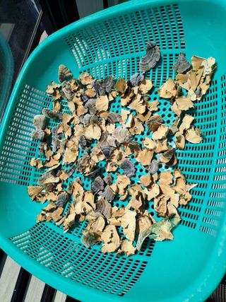 대파12071님의 자유주제 · 자유게시판 작성글 사진