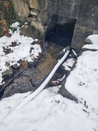 김용대님의 자유주제 · 자유게시판 작성글 사진