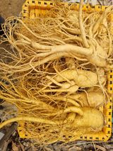 팜모닝 · 게시글 이미지