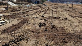 정금기님의 자유주제 · 자유게시판 작성글 사진