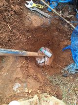 팜모닝 자유주제·자유게시판 게시글 이미지