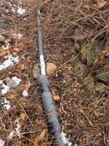 팜모닝 자유주제·자유게시판 게시글 이미지