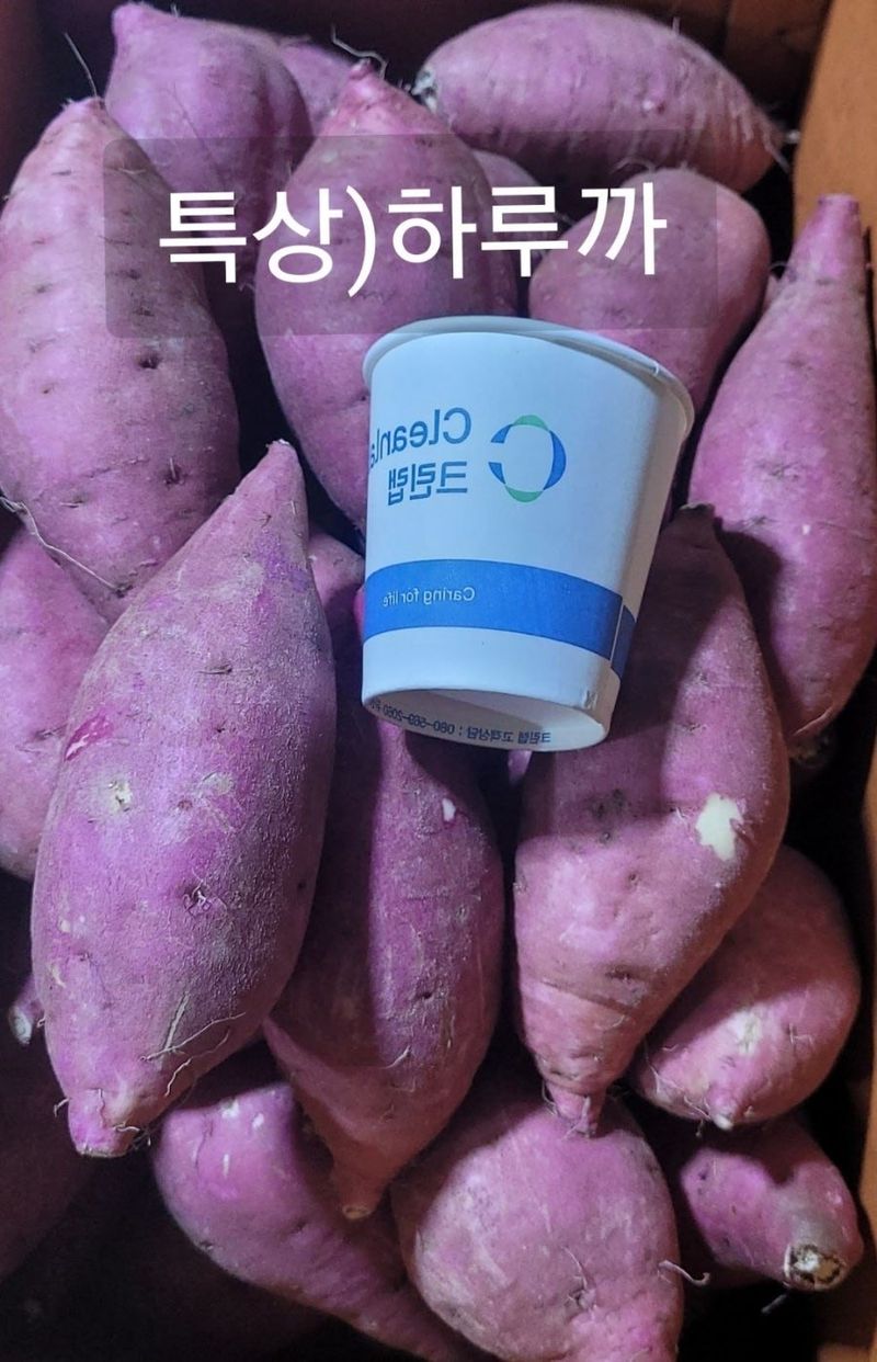 사랑꽃농장님의 장터 판매 상품 [ 실속형 못난이 이찌 하루까 고구마10kg] 첨부 사진