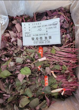 이동훈님의 자유주제 · 자유게시판 작성글 사진