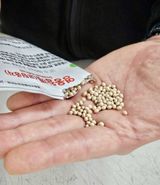 웃으면복이와요님의 참깨·자유게시판 작성글 사진