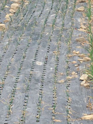 청산거사님의 자유주제 · 사진전 작성글 사진