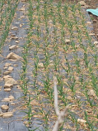 청산거사님의 자유주제 · 사진전 작성글 사진