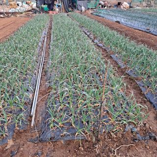 나누고싶어서님의 자유주제 · 자유게시판 작성글 사진